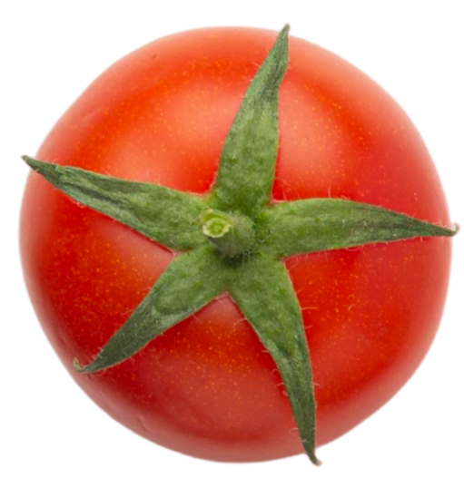 tomato-top