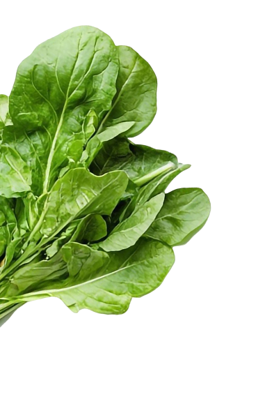 Spinach